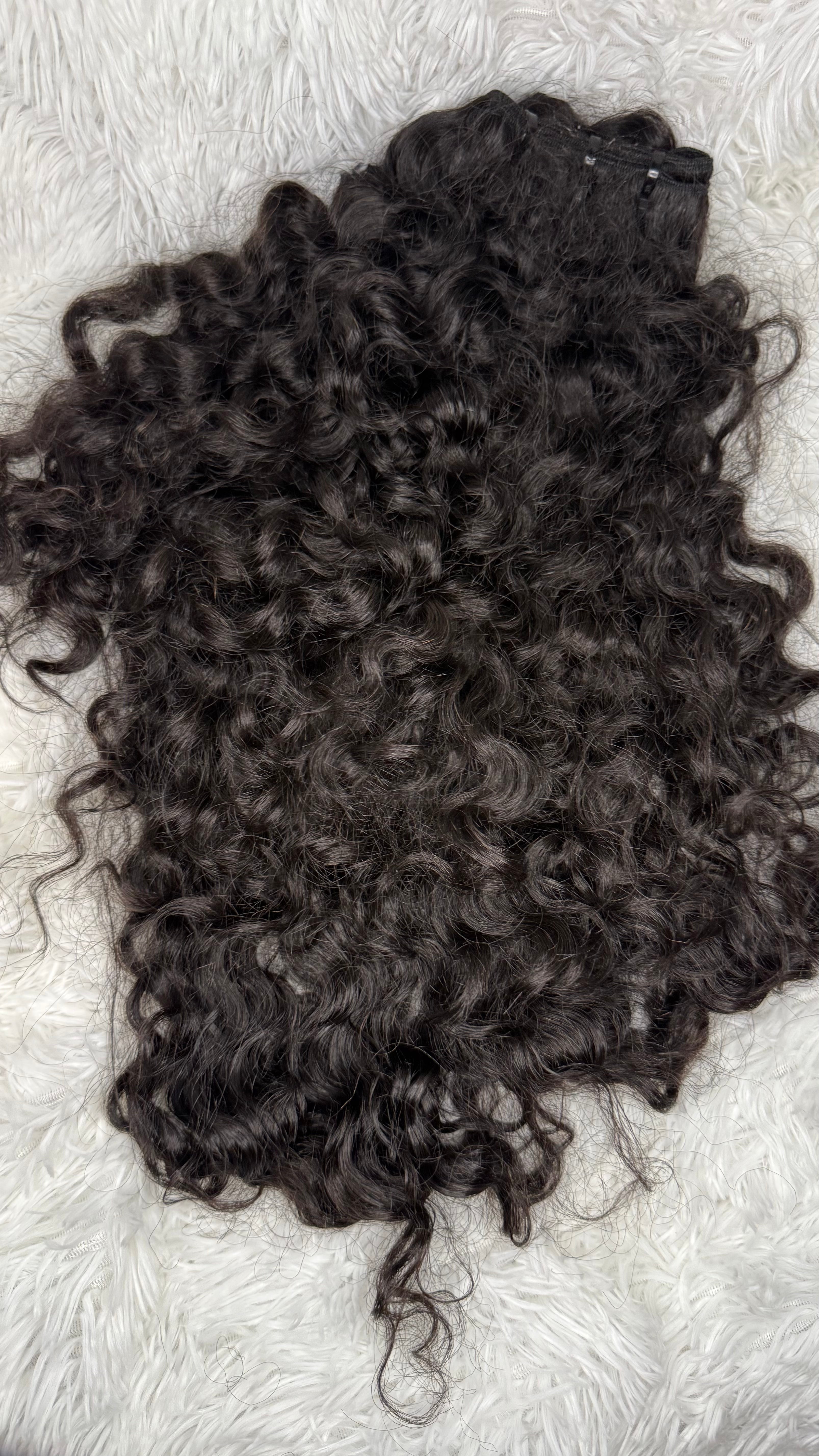Burmese Curly