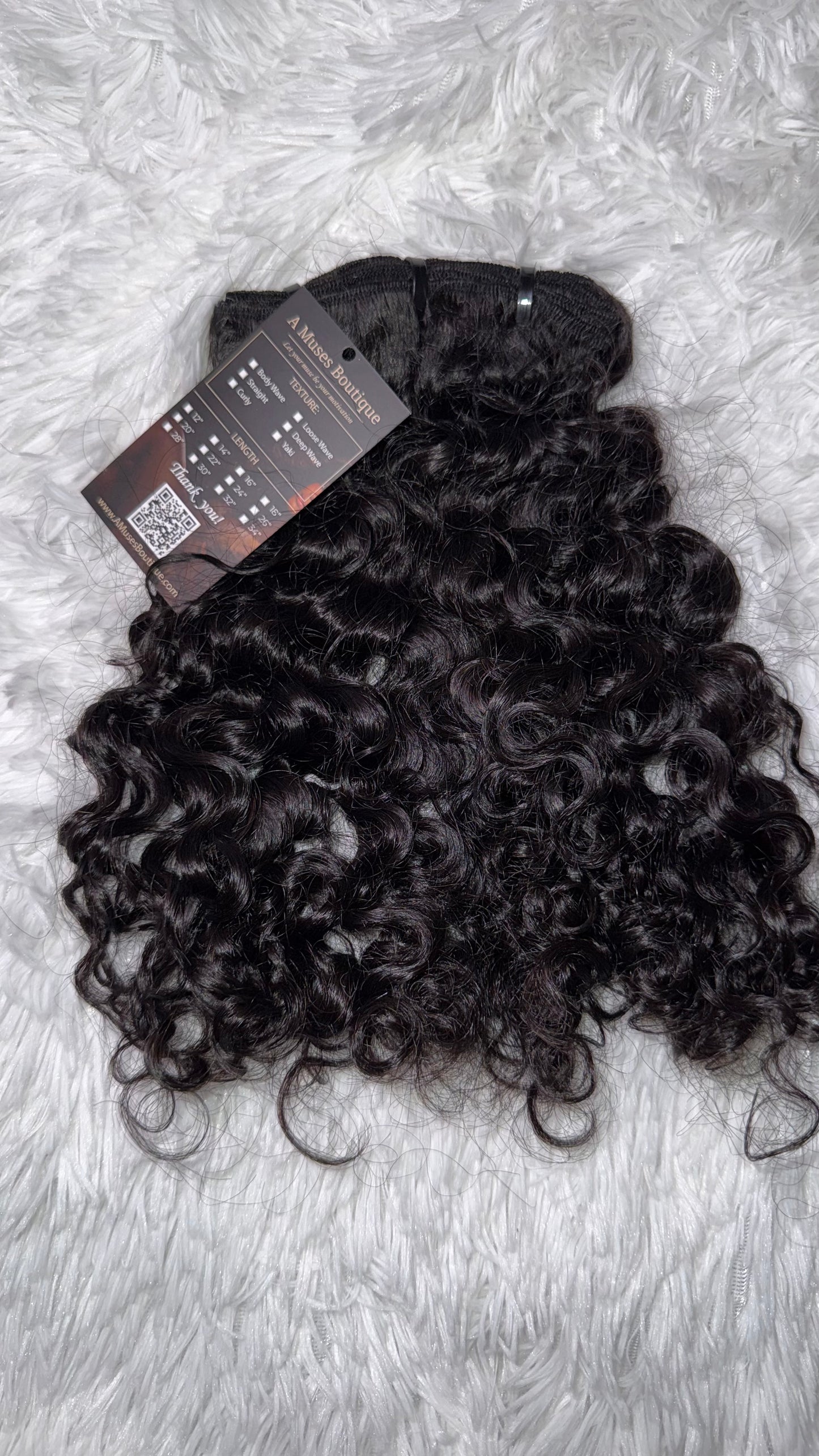 BURMESE CURLY