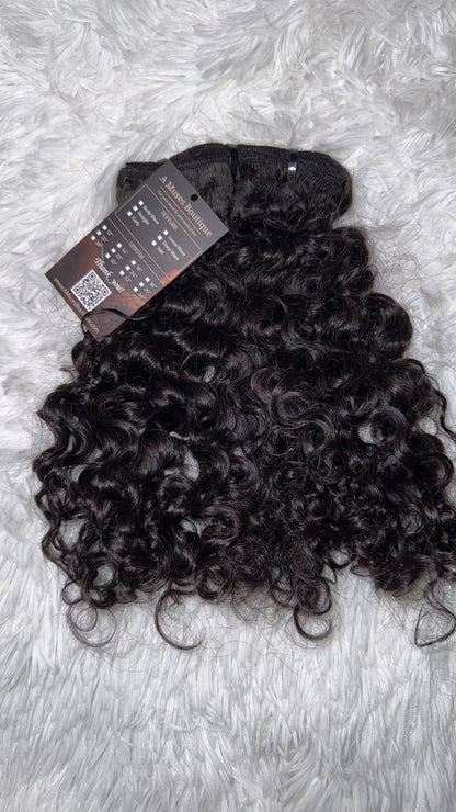 BURMESE CURLY