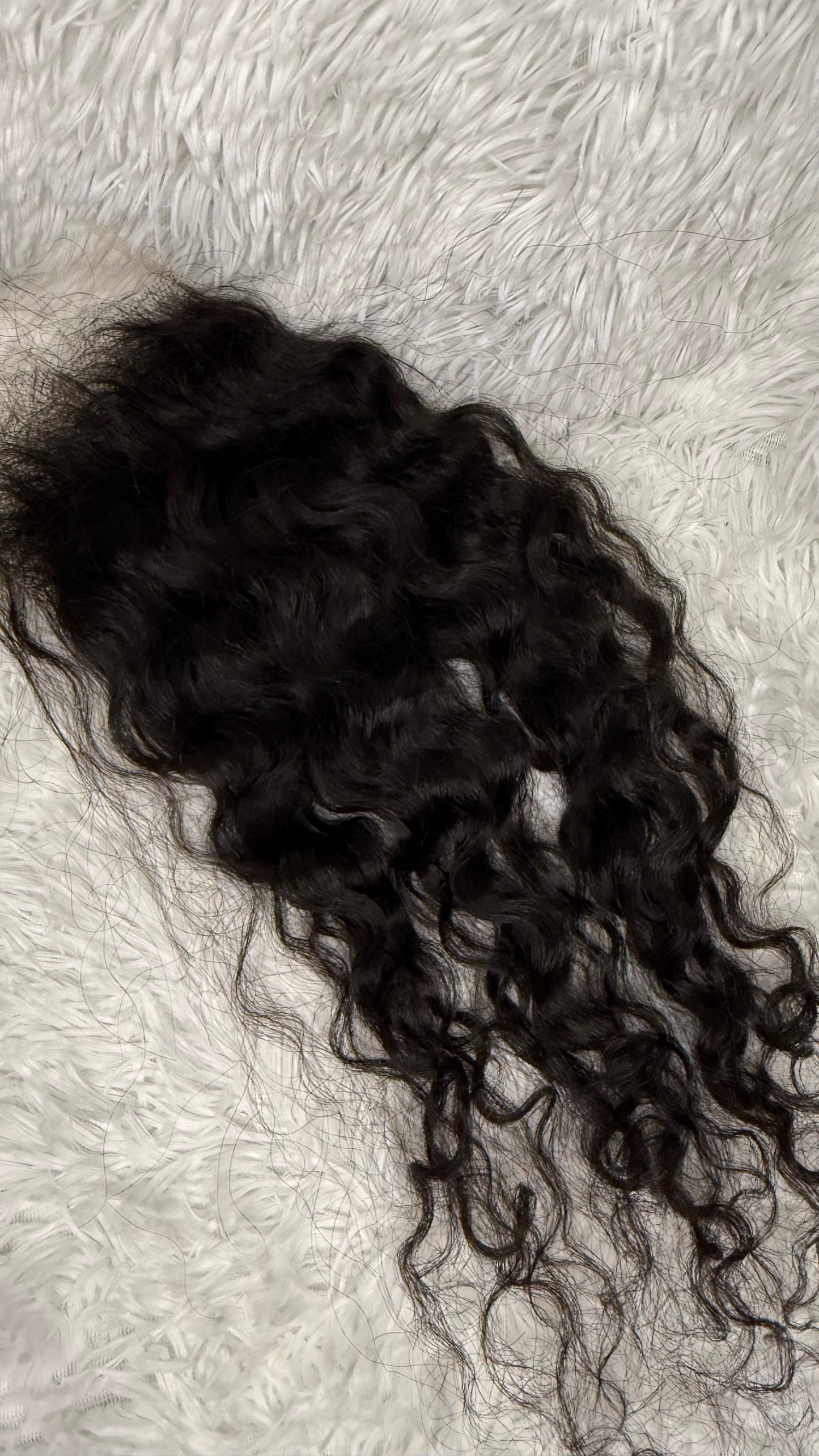 BURMESE CURL CLOSURE