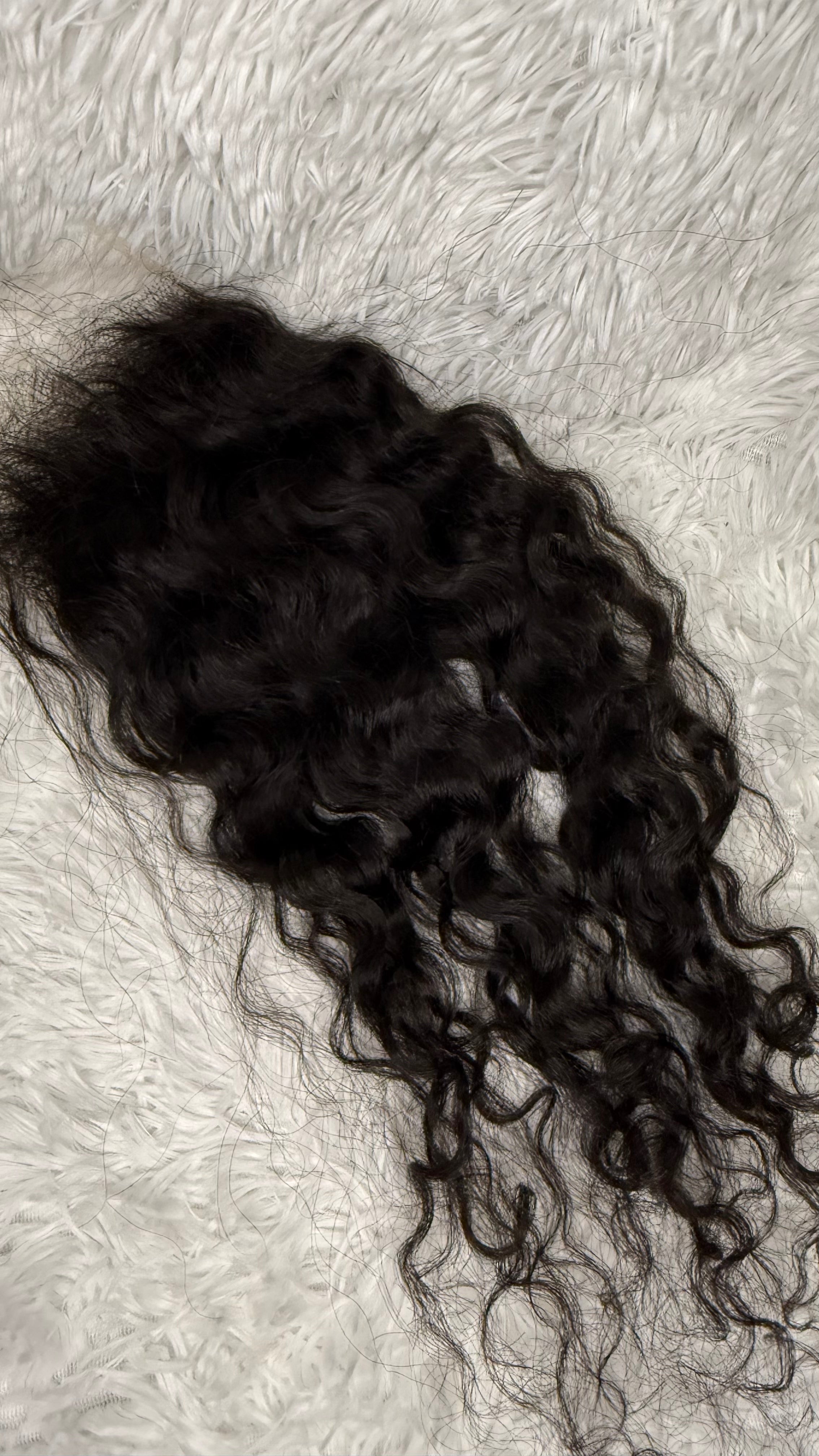BURMESE CURLY CLOSURE