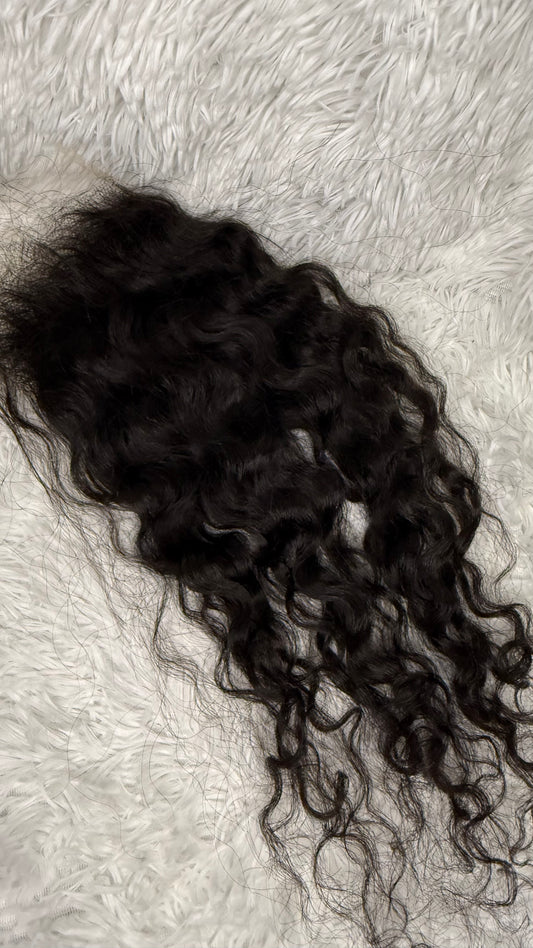 BURMESE CURL CLOSURE