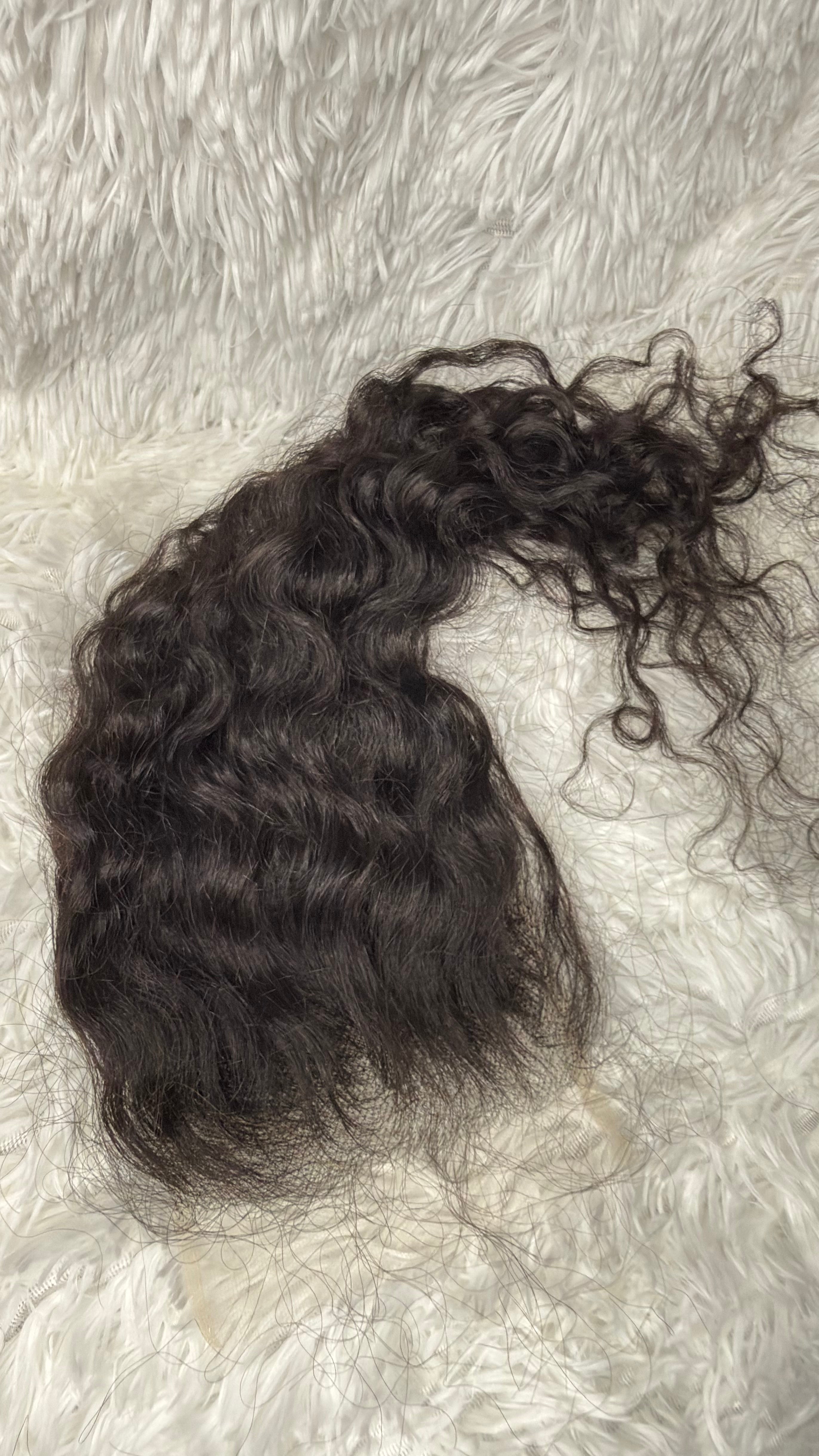 BURMESE CURLY CLOSURE