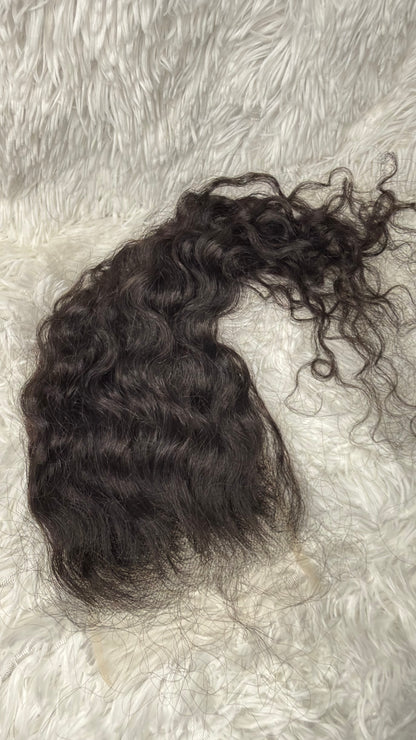 BURMESE CURL CLOSURE